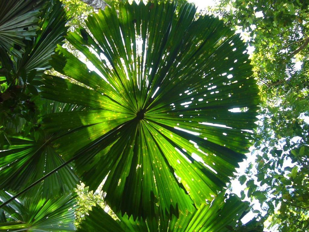 Port Douglas Retreat Exteriér fotografie